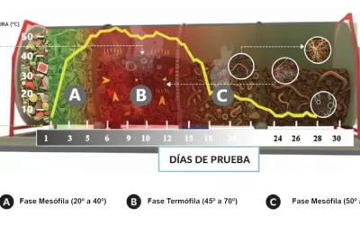 Protegido: Proceso de compostaje: fases, parámetros críticos y control de olores